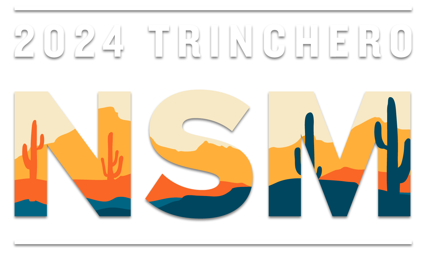 TFE NSM Logo